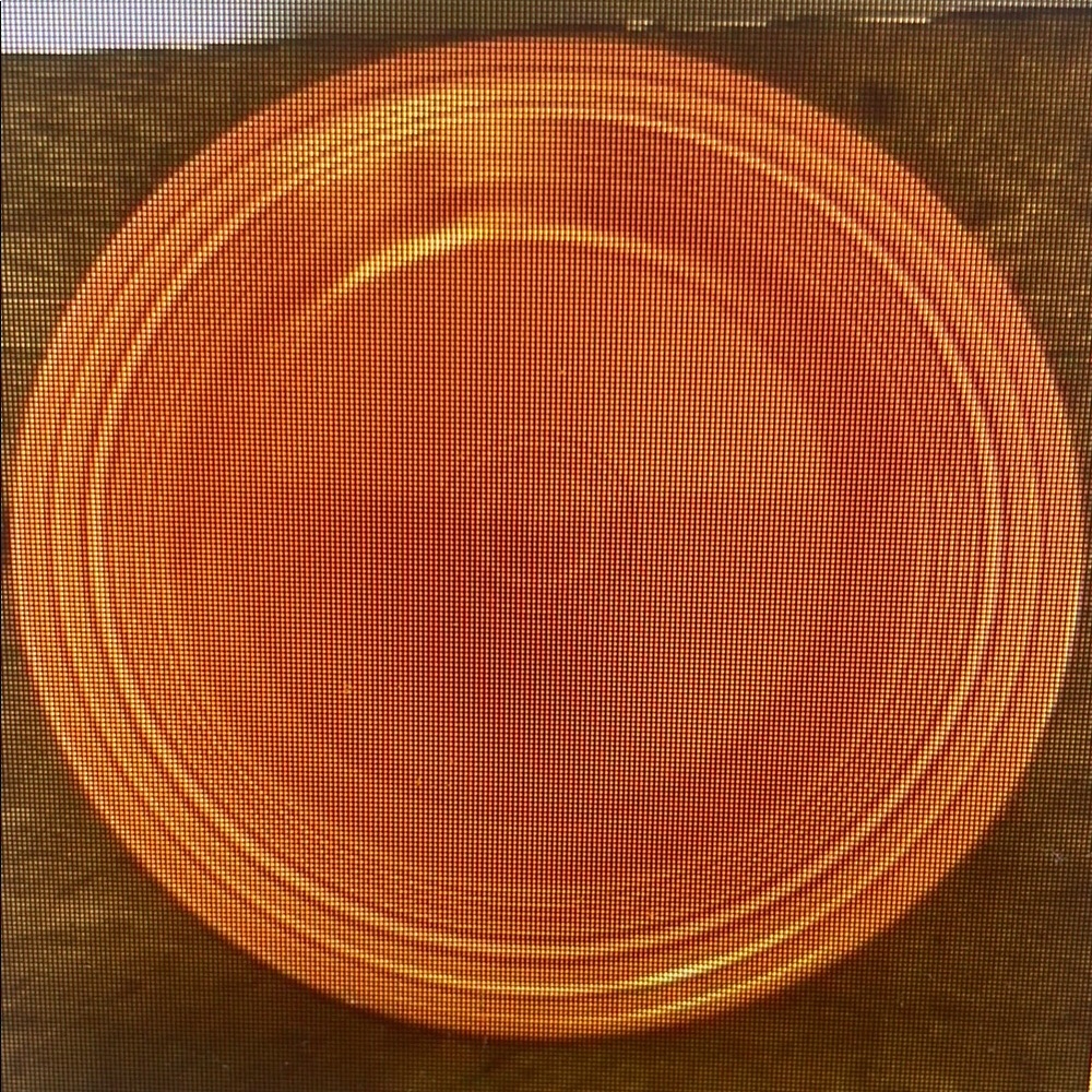 Elegant Gold Dinner Plate